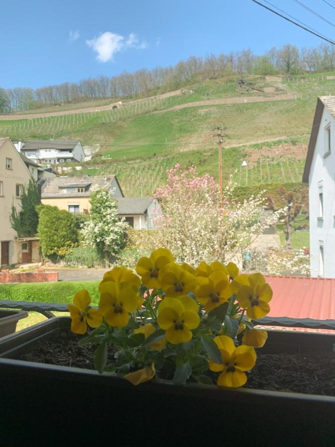 Ferienwohnung Mila Obernhof Zewnętrze zdjęcie